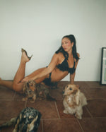 Load image into Gallery viewer, Midnight Feather Triangle Bikini Top
